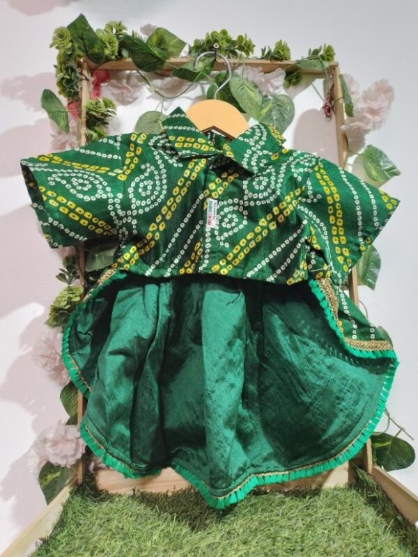 Elegant Green Frock Dress for Dogs & Cats