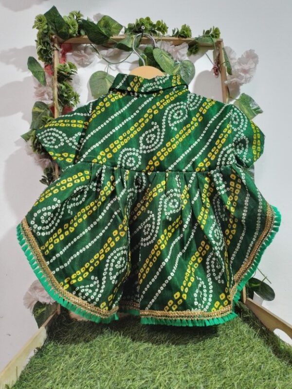 Elegant Green Frock Dress for Dogs & Cats - Image 2